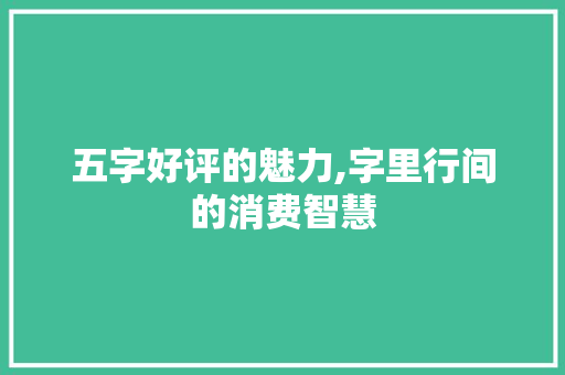五字好评的魅力,字里行间的消费智慧