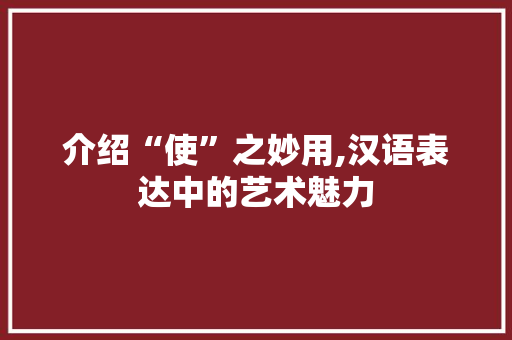 介绍“使”之妙用,汉语表达中的艺术魅力