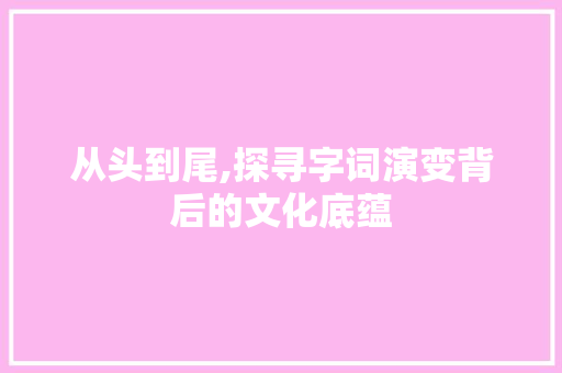 从头到尾,探寻字词演变背后的文化底蕴