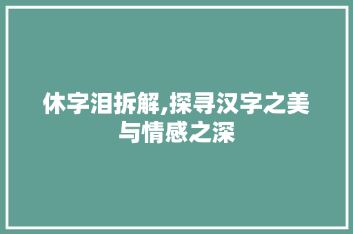 休字泪拆解,探寻汉字之美与情感之深