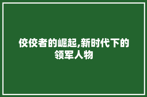 佼佼者的崛起,新时代下的领军人物 简历模板