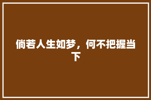 倘若人生如梦，何不把握当下 写作技巧