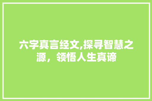 六字真言经文,探寻智慧之源，领悟人生真谛