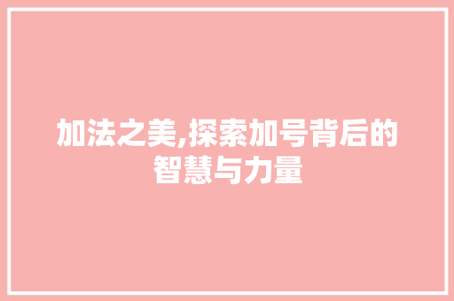 加法之美,探索加号背后的智慧与力量