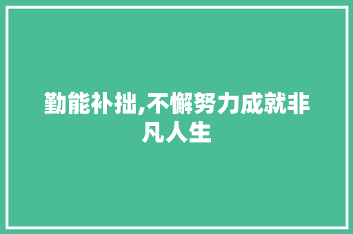勤能补拙,不懈努力成就非凡人生 词汇积累