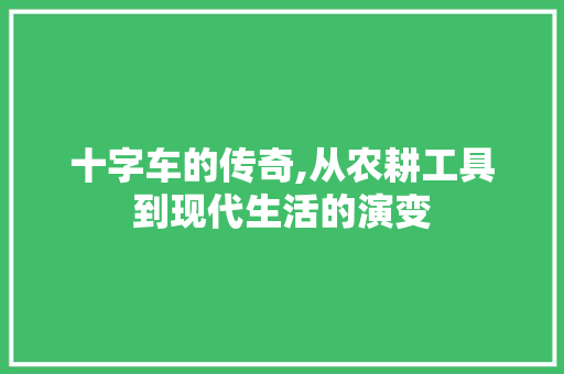 十字车的传奇,从农耕工具到现代生活的演变