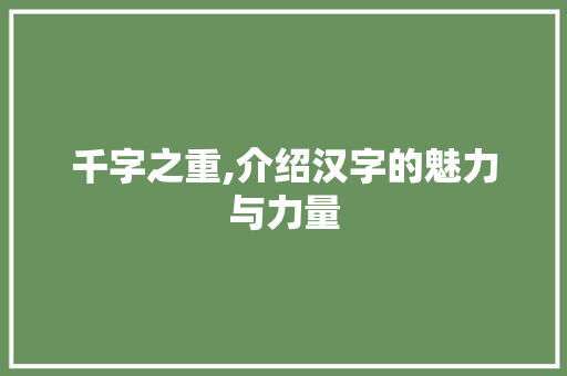 千字之重,介绍汉字的魅力与力量