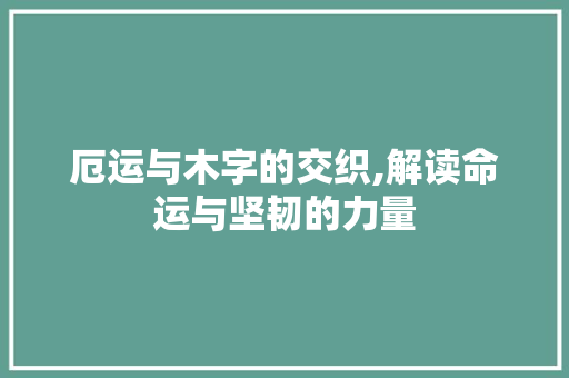 厄运与木字的交织,解读命运与坚韧的力量