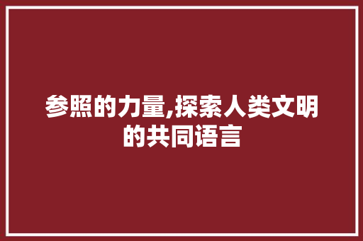 参照的力量,探索人类文明的共同语言