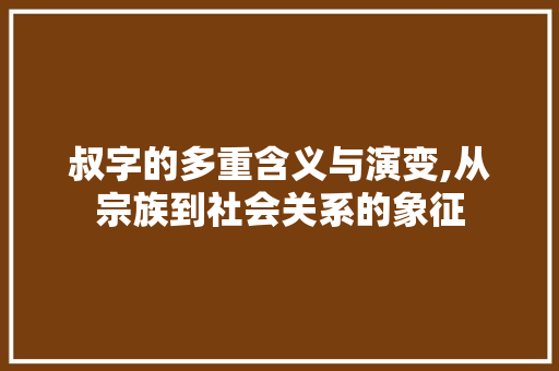 叔字的多重含义与演变,从宗族到社会关系的象征