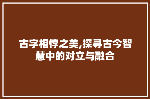古字相悖之美,探寻古今智慧中的对立与融合 报告写作
