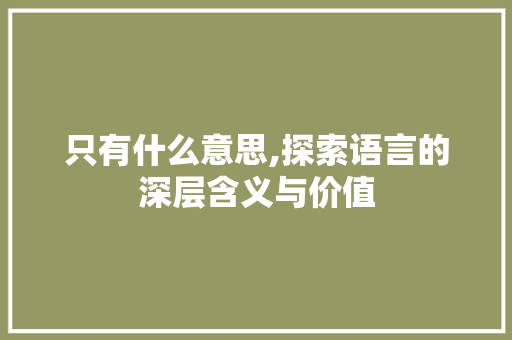 只有什么意思,探索语言的深层含义与价值