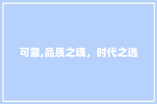 可靠,品质之魂，时代之选 写作技巧
