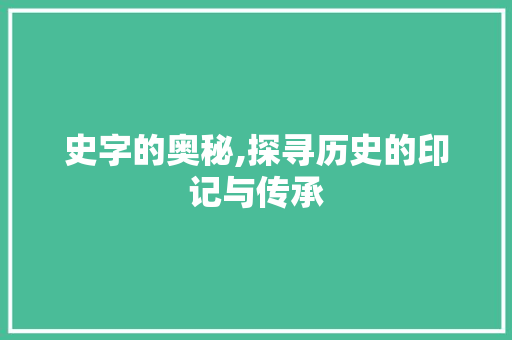 史字的奥秘,探寻历史的印记与传承 报告写作