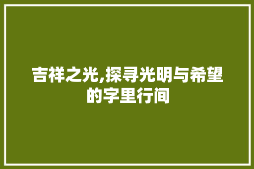吉祥之光,探寻光明与希望的字里行间