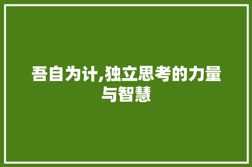 吾自为计,独立思考的力量与智慧