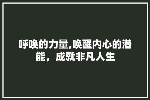 呼唤的力量,唤醒内心的潜能，成就非凡人生 写作技巧