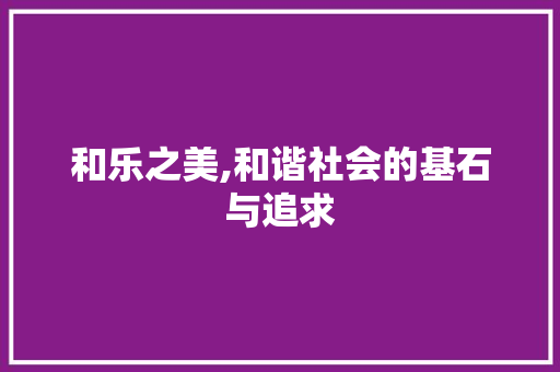 和乐之美,和谐社会的基石与追求