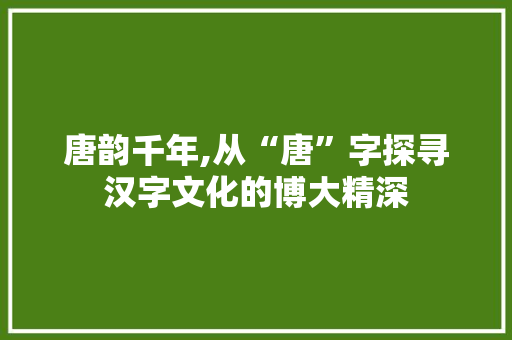 唐韵千年,从“唐”字探寻汉字文化的博大精深
