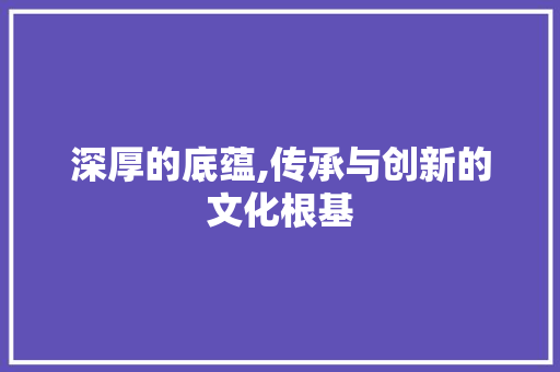 深厚的底蕴,传承与创新的文化根基