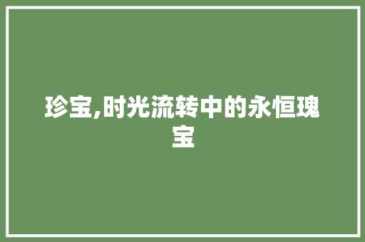珍宝,时光流转中的永恒瑰宝 写作技巧