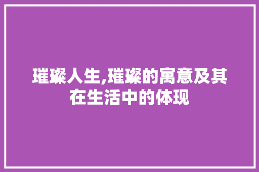 璀璨人生,璀璨的寓意及其在生活中的体现 简历模板