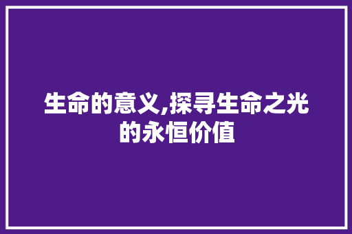 生命的意义,探寻生命之光的永恒价值 简历模板