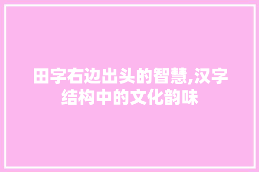 田字右边出头的智慧,汉字结构中的文化韵味 商业文案