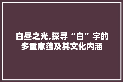 白昼之光,探寻“白”字的多重意蕴及其文化内涵 词汇积累