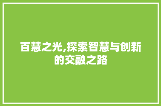 百慧之光,探索智慧与创新的交融之路 报告写作