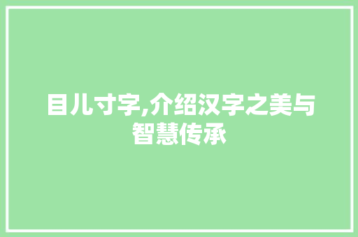 目儿寸字,介绍汉字之美与智慧传承 词汇积累