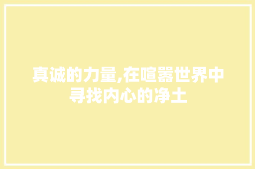 真诚的力量,在喧嚣世界中寻找内心的净土 范文赏析