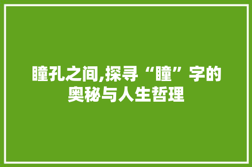 瞳孔之间,探寻“瞳”字的奥秘与人生哲理