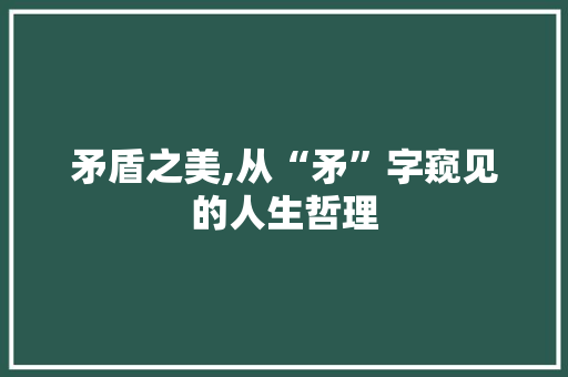 矛盾之美,从“矛”字窥见的人生哲理 词汇积累