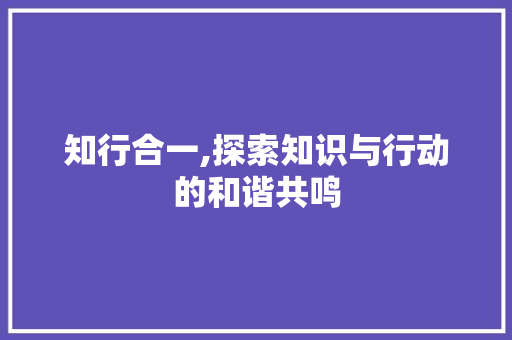 知行合一,探索知识与行动的和谐共鸣