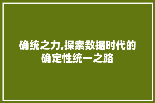 确统之力,探索数据时代的确定性统一之路