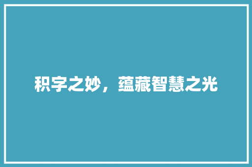 积字之妙，蕴藏智慧之光 范文赏析