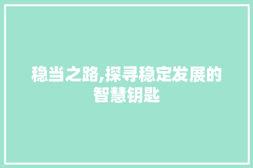 稳当之路,探寻稳定发展的智慧钥匙 报告写作