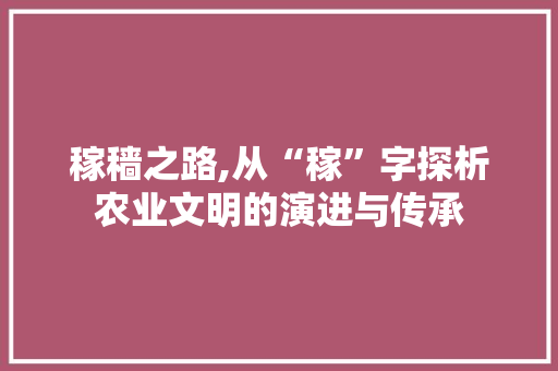 稼穑之路,从“稼”字探析农业文明的演进与传承 写作技巧