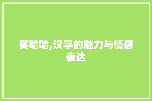 笑哈哈,汉字的魅力与情感表达