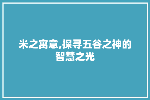 米之寓意,探寻五谷之神的智慧之光 词汇积累