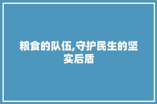 粮食的队伍,守护民生的坚实后盾 写作技巧