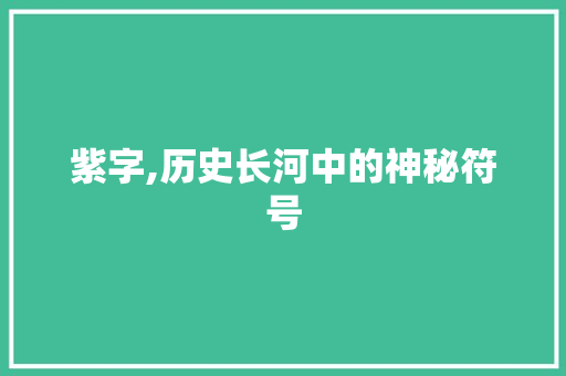 紫字,历史长河中的神秘符号