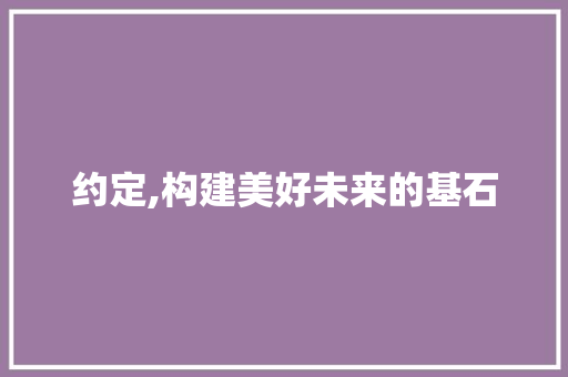 约定,构建美好未来的基石