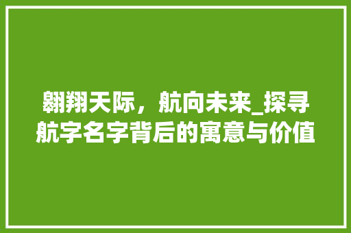 翱翔天际，航向未来_探寻航字名字背后的寓意与价值 词汇积累