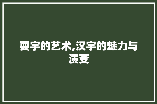 耍字的艺术,汉字的魅力与演变