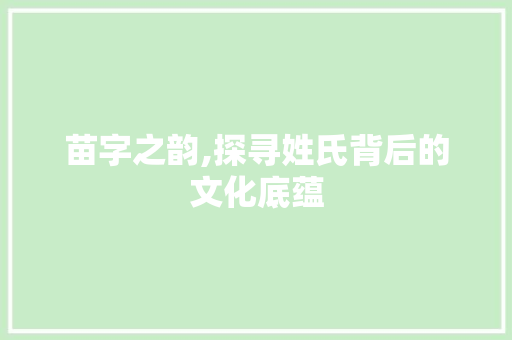 苗字之韵,探寻姓氏背后的文化底蕴 写作社区
