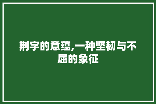 荆字的意蕴,一种坚韧与不屈的象征