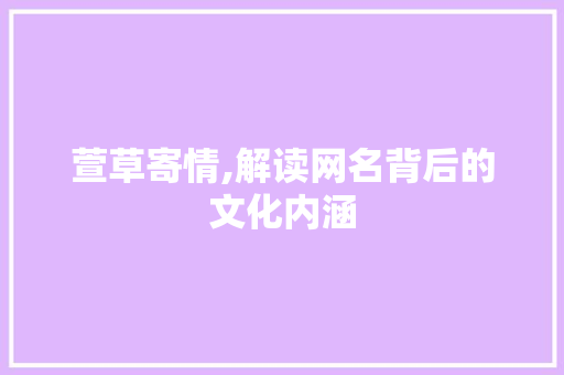 萱草寄情,解读网名背后的文化内涵