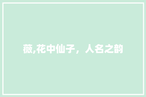 薇,花中仙子，人名之韵 诗歌创作
